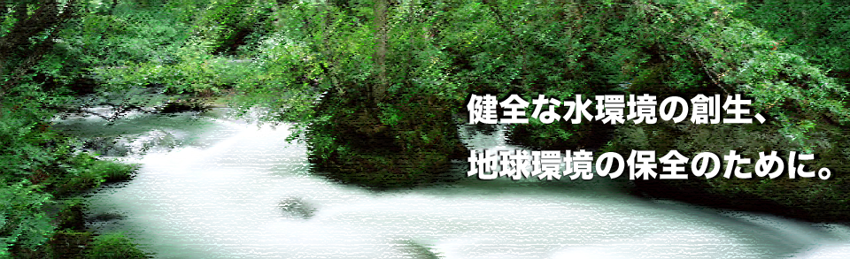 NPO_GS21